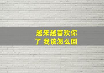 越来越喜欢你了 我该怎么回